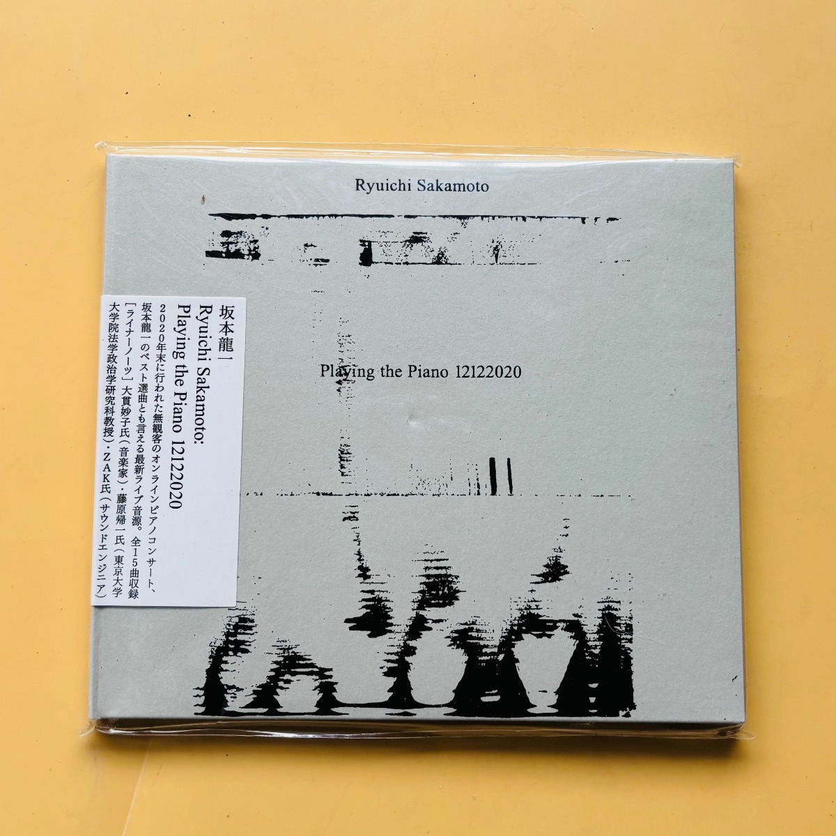 Ryuichi Sakamoto Playing The P – Audio Music Cd recenzja i cena