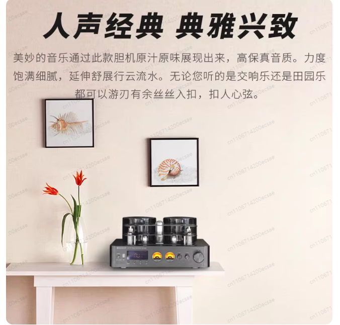 220V 400W * 2 High Fidelity Wi – Audio Music Youtube recenzja i cena